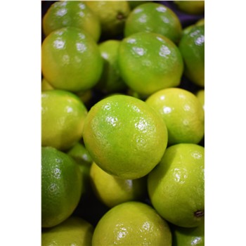Limes