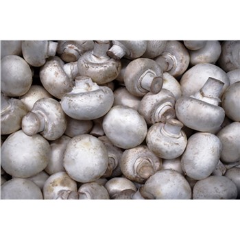 Button Mushrooms