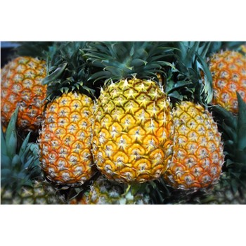 Pineapple 4 pack